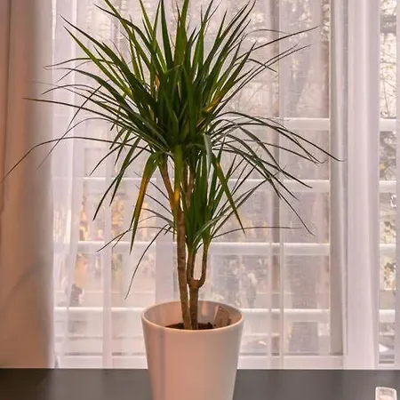 דירה Tsimiski Contemporary 2 סלוניקי