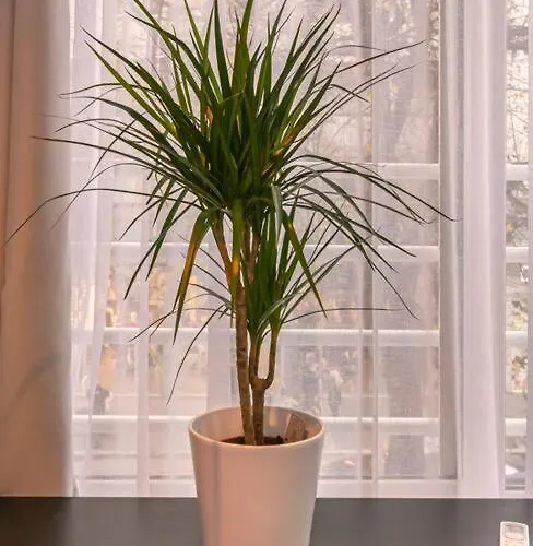 شقة Tsimiski Contemporary 2 سالونيك